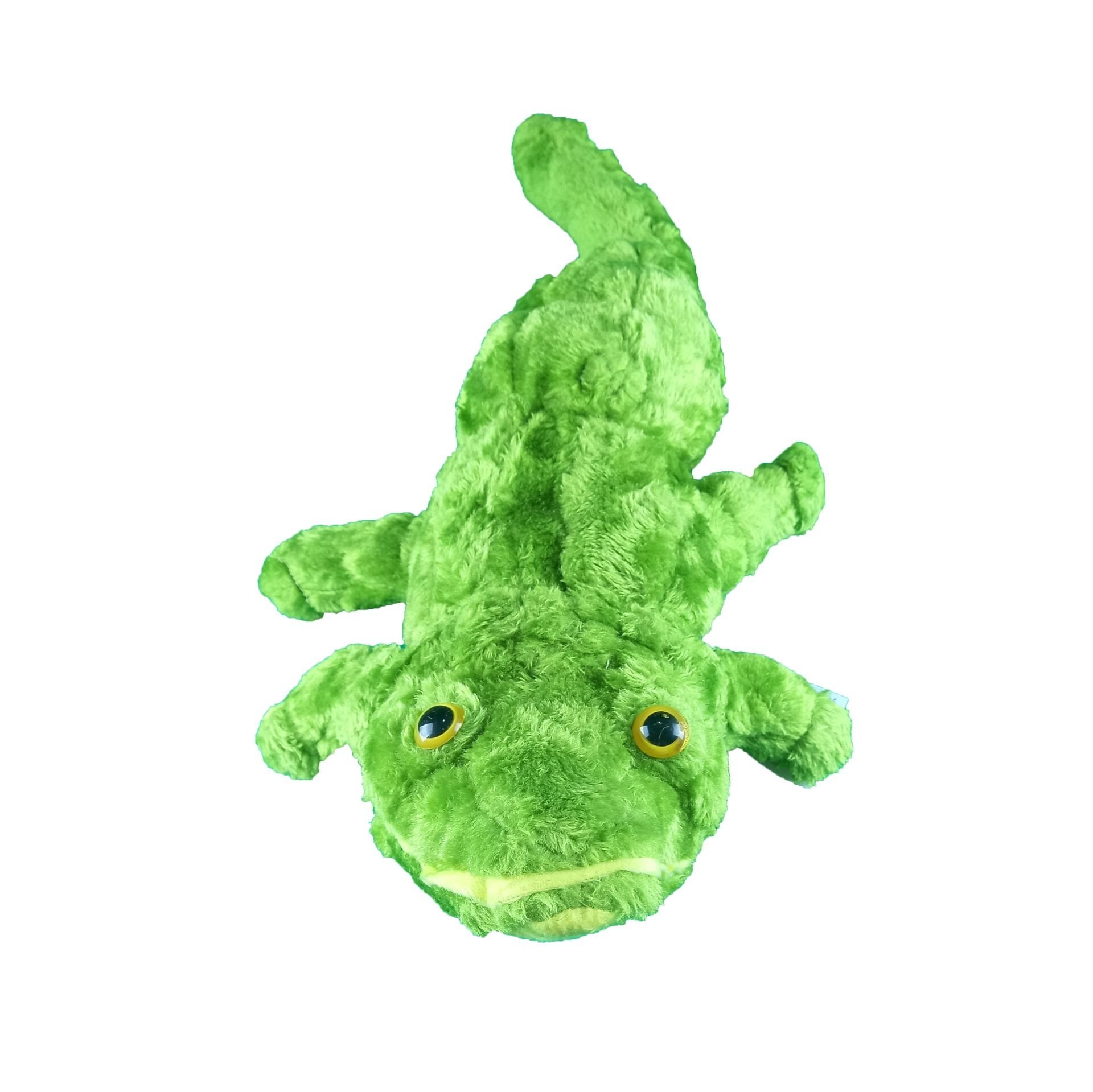 Şirin Fok Timsah Köpek Balığı Yarasa Deniz Aslanı