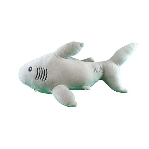 Şirin Fok Timsah Köpek Balığı Yarasa Deniz Aslanı