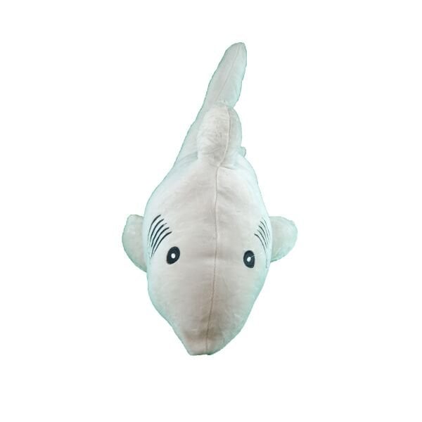 Şirin Fok Timsah Köpek Balığı Yarasa Deniz Aslanı