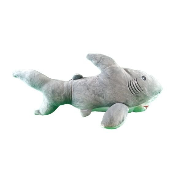 Şirin Fok Timsah Köpek Balığı Yarasa Deniz Aslanı