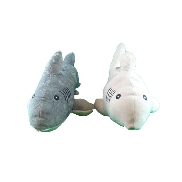 Şirin Fok Timsah Köpek Balığı Yarasa Deniz Aslanı