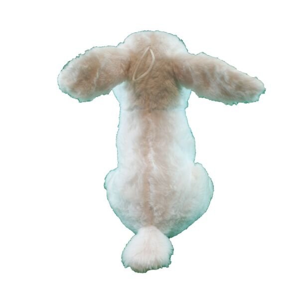 Halley 25 Cm İri Gözlü Şirin Tavşan