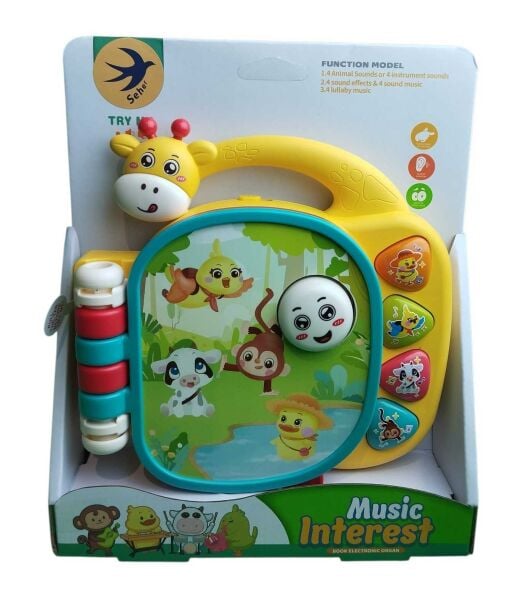 Seher Pilli Müzikli Kitap 855-162D