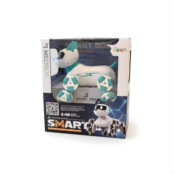 Seher 2.4G Uzk. Kum. Akrobatik Kedi Köpek Robot