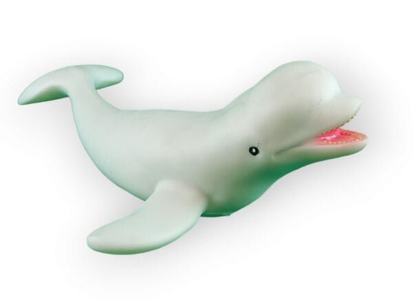 Acar Deniz Hayvanları TJDW-14-1