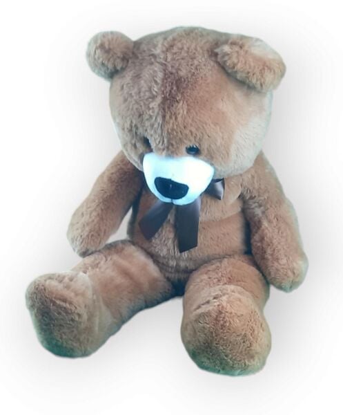 Halley 75 Cm Uzun Ayı 62722