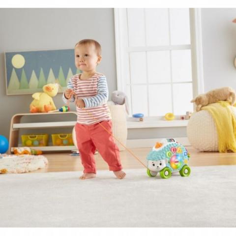 Mattel Fisher Price Linkimals Sevimli Gezgin Kirpi GJB12