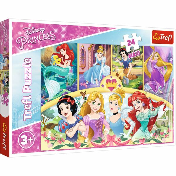 Vardem 24 Parça Maxi Princess 14294