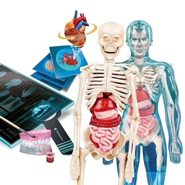 Clementoni Süper Anatomi 64474