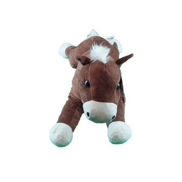 Halley 50 Cm Yatan At PL78379