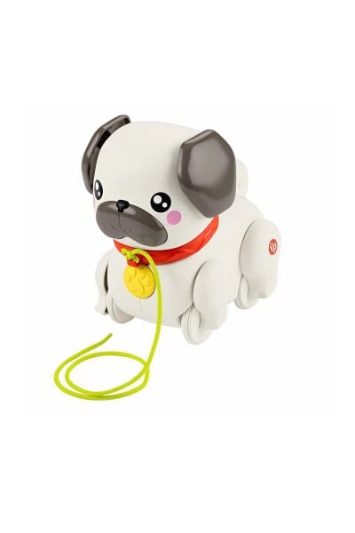 Mattel Fisher Minik Dostumla Yürüyüş HTW94