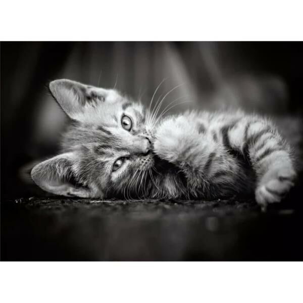 Clementoni Puzzle 1000 Hqc Kitty 39422