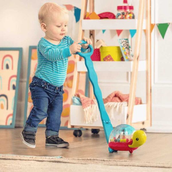 Isabel Yürüyen Kaplumbağa