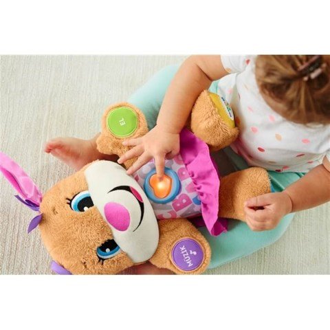 Mattel Eğitici Köpekçiğin Kız Kardeşi FPP83