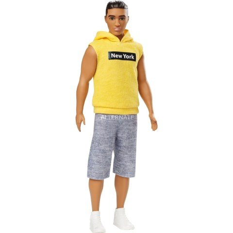 Mattel Barbie Yakışıklı Ken Bebekler DWK44