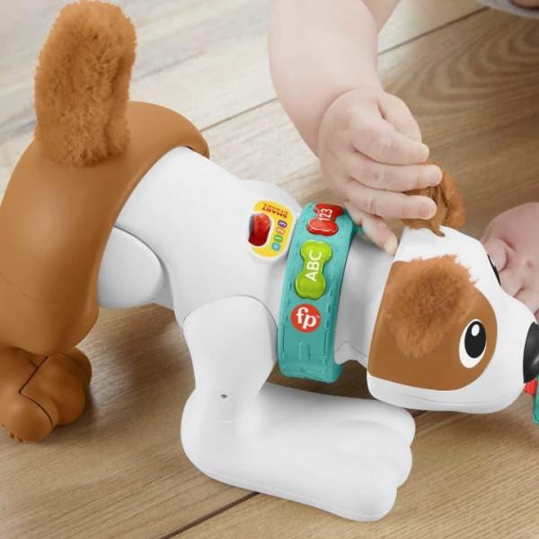 Mattel Emeklemeyi Ve Saymayı Öğreten Köpekçik HHH1