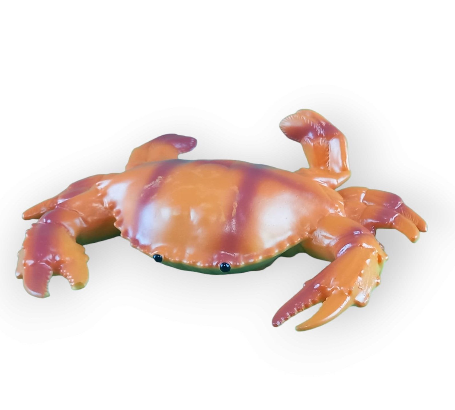 Acar Deniz Hayvanları Serisi Soft TJDW-14