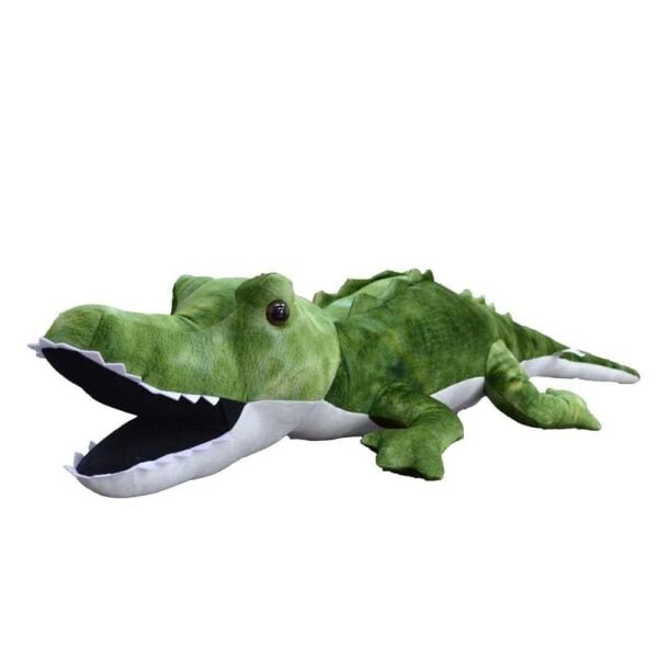 Halley 2 Mt Timsah 62387