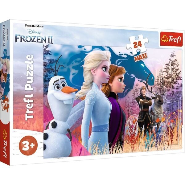 Vardem 24 Parca Maxı Frozen 2