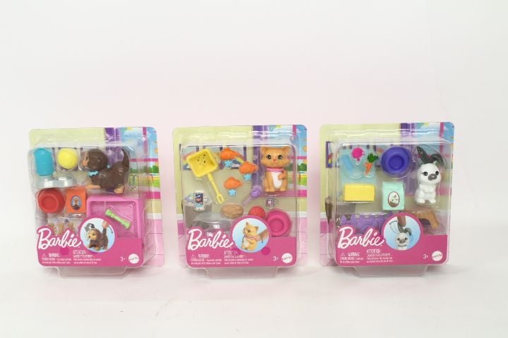 Mattel Barbie Pet Ve Aksesuarları Oyun HKD81
