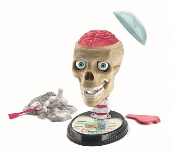 Clementoni Bilim ve Oyun Çılgın Anatomi 64322