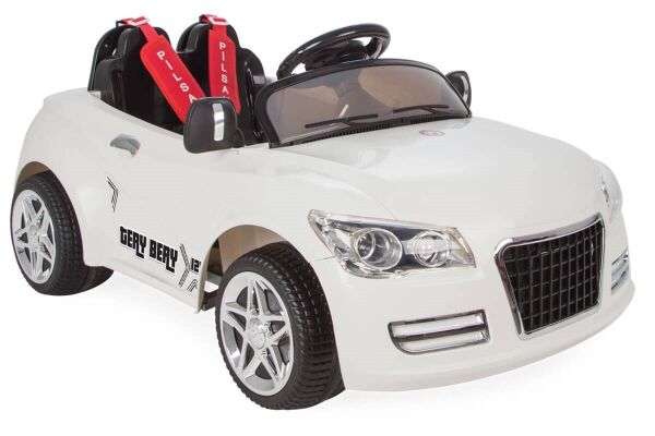 Pilsan Tery Bery Akülü Araba Kumandalı 12 Volt 05280