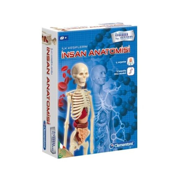 Clementoni İlk Keşiflerim İnsan Anotomisi  64297